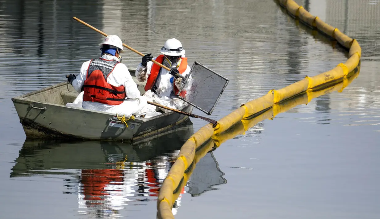Petugas membersihkan minyak di Wetlands Talbert Marsh setelah tumpahan minyak di Huntington Beach, California, Amerika Serikat, 4 Oktober 2021. Tumpahan sekitar 480 liter minyak mencemari laut dan pantai di California. (AP Photo/Ringo H.W. Chiu)