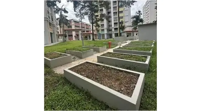 Lahan Kebun Ini Bikin Warga Takut Lewat Malam Hari, Petak-petak Mirip Kuburan