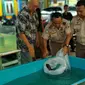 Tim SKIPM Palembang dan instansi terkait menemukan lima ekor Ikan Aligator yang dijual bebas di Pasar Tradisional 16 Ilir Palembang (Dok.Humas SKIPM Palembang / Nefri Inge)