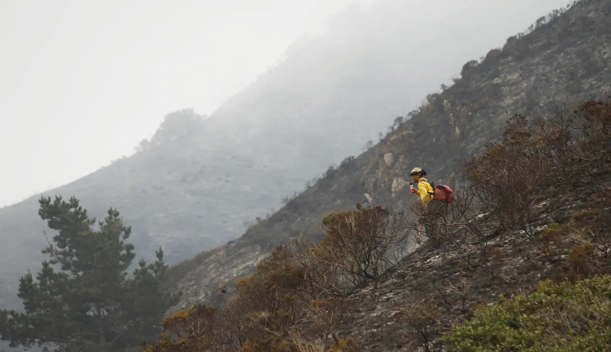 Seorang petugas pemadam kebakaran berjalan di hutan yang hangus terbakar akibat kebakaran di Garrapata State Park, Big Sur, California, AS AS, (31/7). Seluas 8.000 hektare hutan terbakar akibat musibah tersebut. (REUTERS/Michael Fiala)