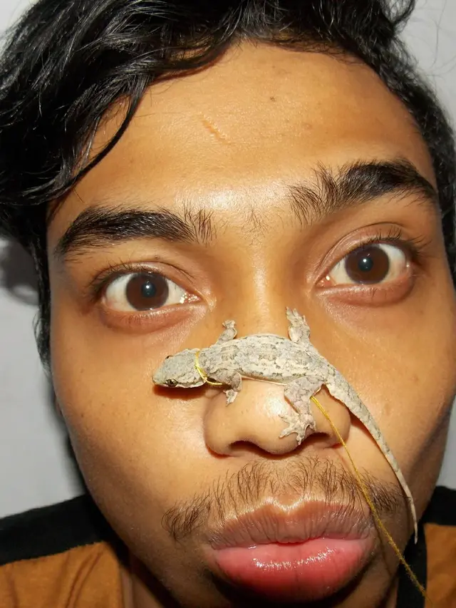 7 Potret Selfie Bareng Hewan di Muka, Bikin Merinding