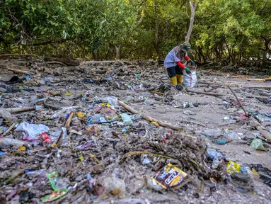 Seorang relawan dari Ecological Observation and Wetlands Conservation (ECOTON) mengumpulkan sampah plastik dari rawa bakau di Surabaya, Jawa Timur pada 26 Juli 2025. (Juni KRISWANTO/AFP)
