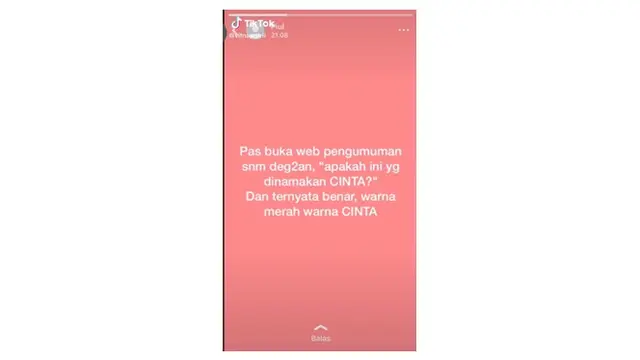 6 Status WhatsApp Lolos SNMPTN 2021 Ini Bikin Senyum Tipis