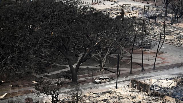 Pohon Beringin Terkenal Terbakar di Kebakaran Hutan Hawaii