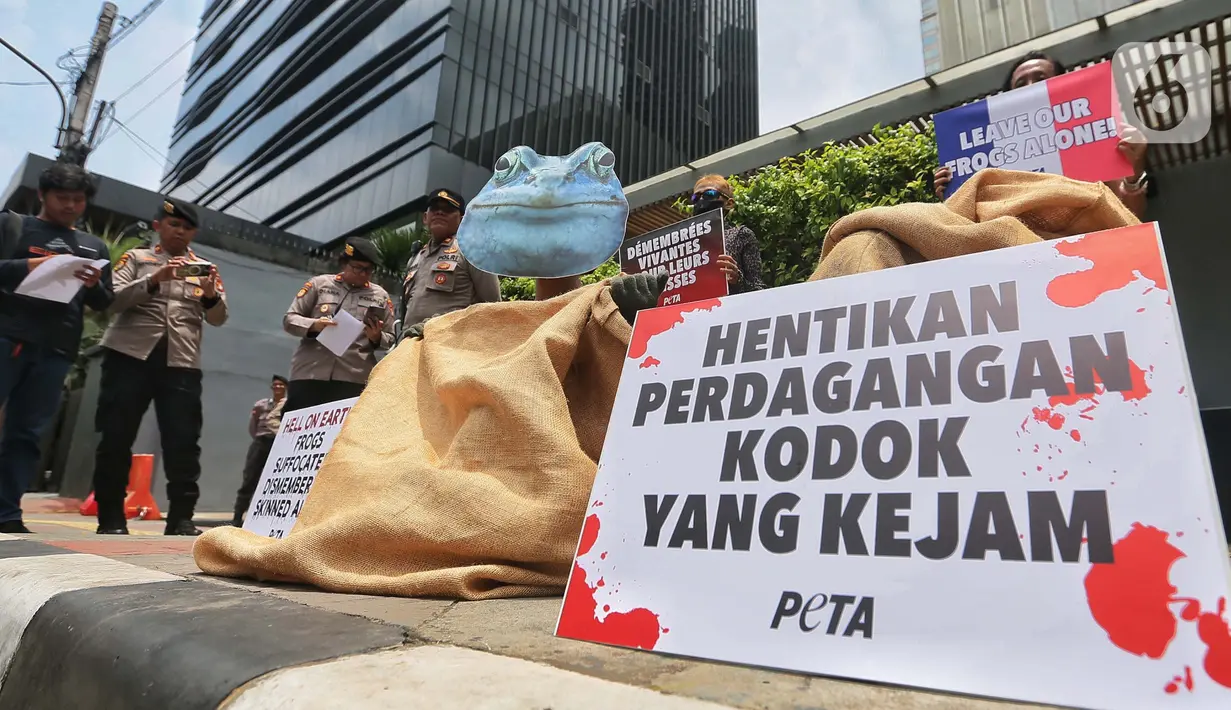 Investigasi PETA menemukan kekejaman terhadap hewan pada tujuh operasi industri daging kodok di Indonesia. Dan Indonesia merupakan eksportir paha kodok terbesar di dunia. (Liputan6.com/Angga Yuniar)