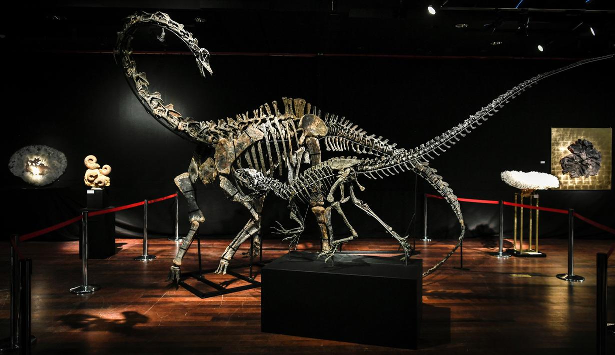 87 Gambar Aneka Dinosaurus Paling Hist