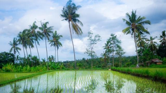 Rayakan Nyepi di Hotel Ini, Mau Coba?