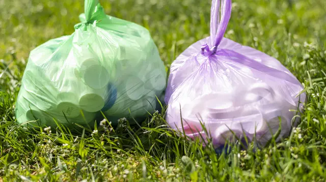 Kantong Plastik Bekas Bisa Jadi Apa? Ini 7 Ide Daur Ulang Jadi Produk Bernilai Jual Tinggi