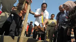 Pada kesempatan itu, Mendag Rachmat Gobel juga melakukan penanaman pohon di areal Pasar Meruya, Jakarta, Selasa (25/11/2014). (Liputan6.com/Herman Zakharia) 