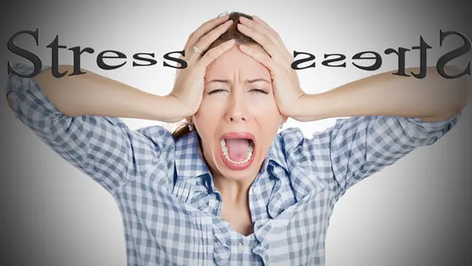 (c) shutterstock.com