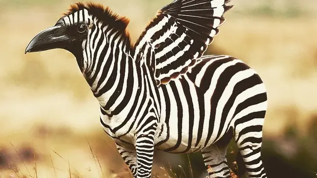 6 Editan Foto Jika Hewan Lain Jadi Burung Ini Kreatif, Unik Banget