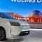 Resmi Dijual di Indonesia, Darion Jadi Model Pertama Wuling yang Pakai Platform Baru (Arief A/Liputan6.com)
