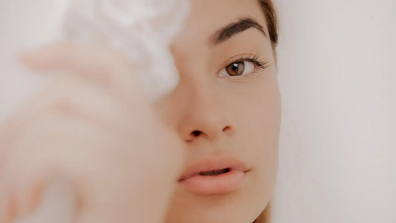 Bibir