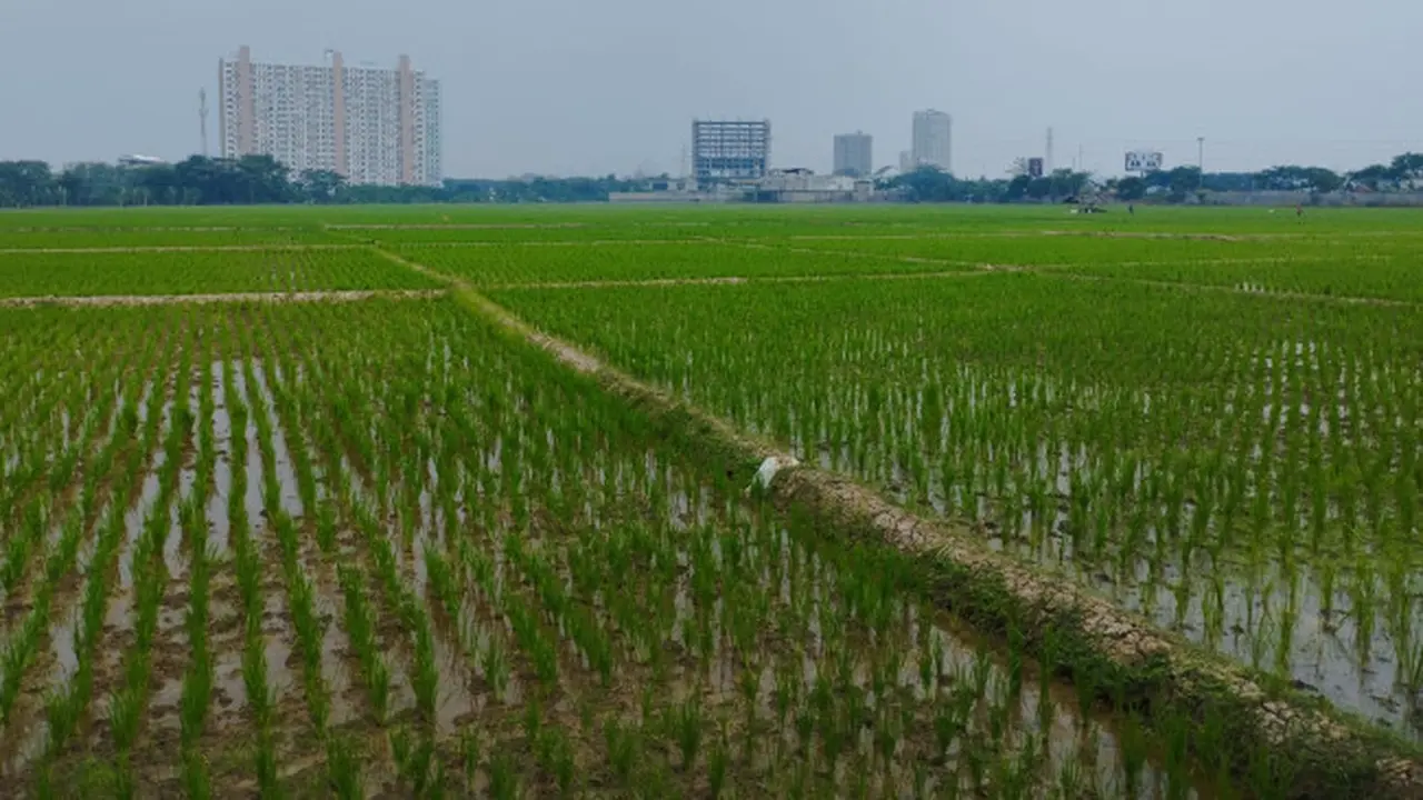 KTNA Optimistis Indonesia Bakal Jadi Lumbung Pangan di 2045, Asalkan Perhatikan Ini