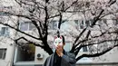 Seorang pria berpose dengan latar Bunga Sakura di kawasan Asakusa Tokyo, Kamis (6/4). Salah satu momen yang paling ditunggu pada musim semi di Jepang adalah mekarnya bunga sakura (cherry blossom). (AFP Photo/ Behrouz MEHRI)