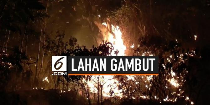 VIDEO: Lima Hektare Lahan Gambut Terbakar di Palangkaraya