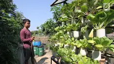 Warga menyirami tanamannya di Cikini, Jakarta, Jumat (29/9). Suku Dinas Ketahanan Pangan Kelautan dan Pertanian (KPKP) Jakarta Pusat menargetkan 16 urban farming atau pertanian kota tersebar di seluruh kecamatan. (Liputan6.com/Angga Yuniar)