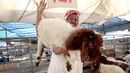 Pedagang membawa seekor domba sembari menunggu pembeli hewan kurban di sebuah pasar ternak di Kuwait pada 5 Agustus 2019. Umat Islam di seluruh dunia akan merayakan Idul Adha yang identik dengan tradisi berkurban dengan hewan seperti kambing, domba, unta, sapi dan kerbau. (Yasser Al-Zayyat/AFP)