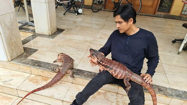 6 Seleb Ini Pelihara Binatang yang Tak Biasa, Unik hingga Ekstrem Abis