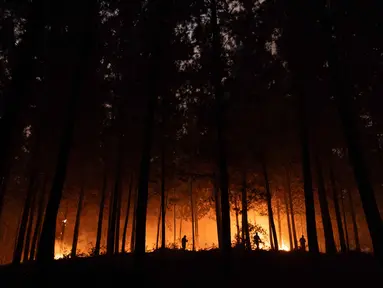 Warga bergotong royong memadamkan vegetasi yang terbakar selama kebakaran hutan di kota Florida dekat kota Concepcion, Chile, pada Senin 19 Januari 2026. Pemerintah Chile menetapkan status darurat nasional setelah kebakaran hutan hebat melanda wilayah selatan negara itu. (Raul BRAVO/AFP)