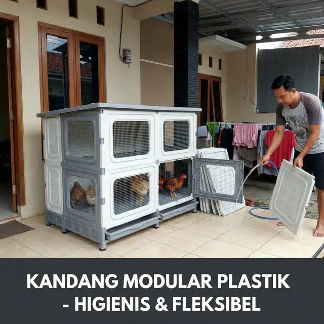 Kandang Ayam Model Modular Plastik Material   (Gemini AI)