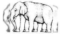 Ilusi optik: Berapa banyak kaki yang dimiliki gajah ini? (sumber: Times of India)