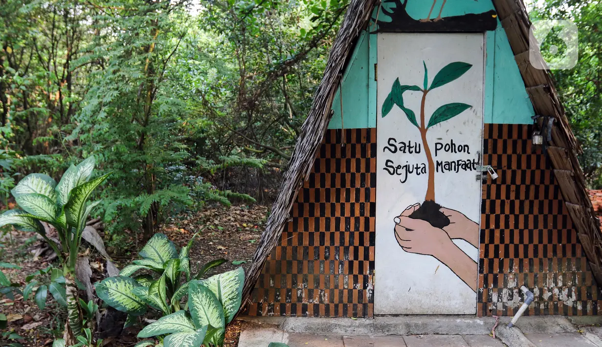 Mangrove juga bisa menyerap karbondioksida lima kali lebih banyak dibanding hutan tropis di dataran tinggi. (Liputan6.com/Herman Zakharia)