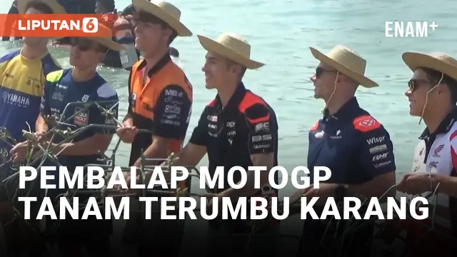 Pembalap MotoGp Antusias Ikuti Konservasi Terumbu Karang di Madalika