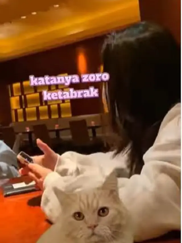 Denny Sumargo - Olivia Allan (Foto: Instagram/@sumargodenny)
