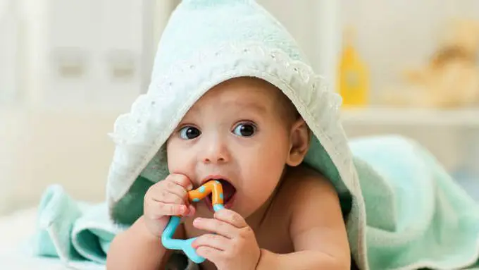 Pertumbuhan gigi/Copyright Shutterstock