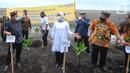 (ki-ka) Direktur Compliance and Legal Bank BTN Eko Waluyo, Bupati Banyuwangi Ipuk Fiestiandani Azwar Anas dan Deputy Regional Manager Business Kanwil III Bank BTN Heru Wicaksono saat penanaman pohon mangrove dan pelepasan 1.000 tukik di Pantai Cemara, Banyuwangi, (22/10/2021). (Liputan6.com/HO/Hedi)