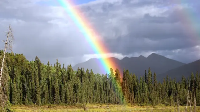 Rainbow