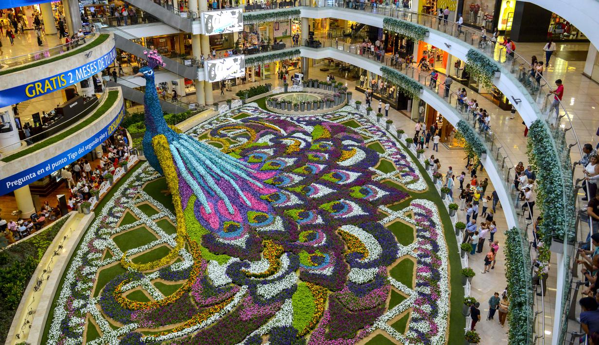 Merak raksasa yang ditampilkan selama Festival Bunga di Pusat Perbelanjaan Santa Fe di Medellin, Kolombia (3/8). Merak yang terbuat dari 182.000 bunga ini memiliki panjang 12 meter (40 kaki). (AFP Photo/Joaquin Sarmiento)