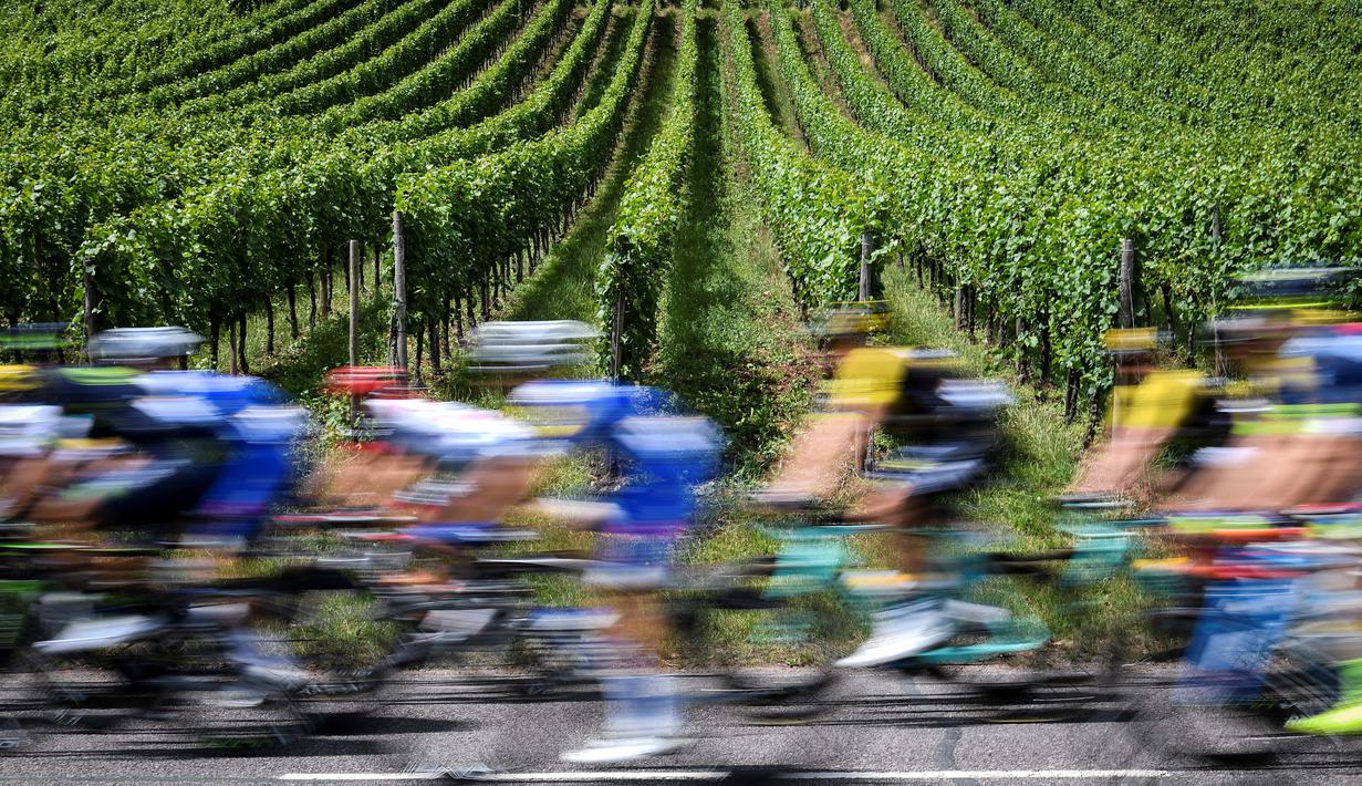 Para pebalap Tour de France melintasi kebun anggur pada etape keempat dengan jarak tempuh 207,5 km antara Mondorf-les-Bains dan Vittel, (4/7/2017). (AFP/Lionel Bonaventure)