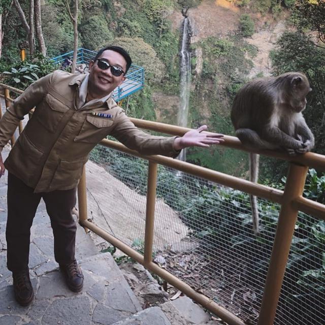 Gaya Kocak Ridwan Kamil Yang Berusaha Selfie Dengan Monyet Lifestyle Liputan6 Com Selain jas hujan dua kepala, masih ada banyak jas hujan unik lainnya. gaya kocak ridwan kamil yang berusaha