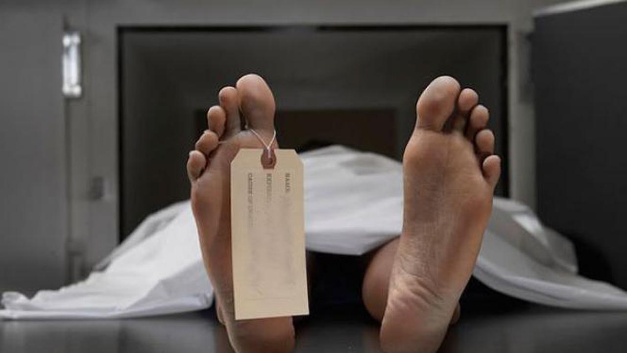 [Bintang] Farah Nikmah