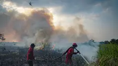 Petugas pemadam kebakaran memadamkan kebakaran hutan di lahan gambut Ogan Ilir, Sumatera Selatan, pada 26 September 2025. (AL ZULKIFLI/AFP)