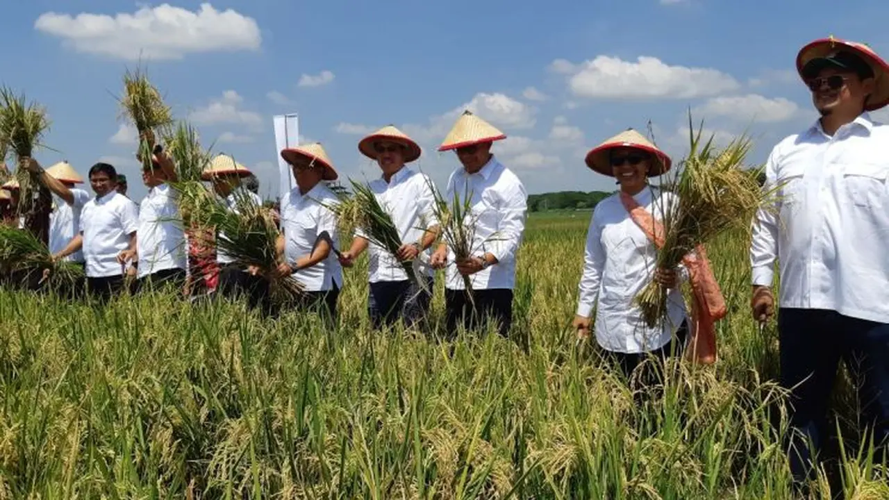 Menteri BUMN Rini Soemarno hadir dalam acara panen raya  Desa Gempolkerep, Kecamatan Gedeg, Mojokerto, Jawa Timur. (Dok BUMN)