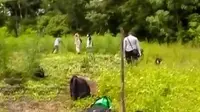 5 Hektare Ladang Ganja di Aceh Dimusnahkan BNN