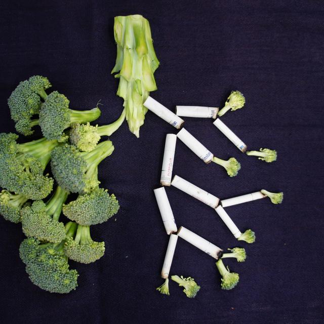 4 cara pencegahan kanker paru