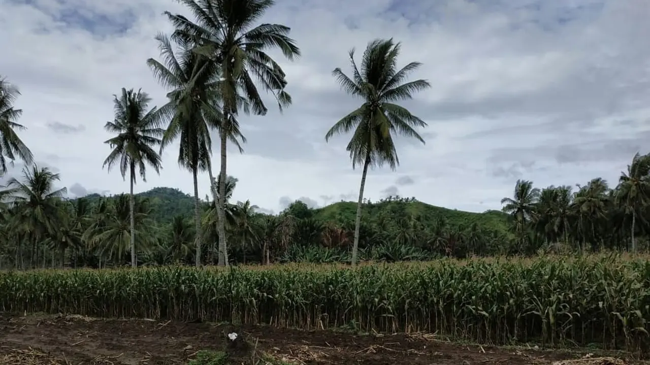 Indonesia bagian selatan mengalami kemarau, sedangkan wilayah ekuator masih berpotensi curah hujan tinggi.