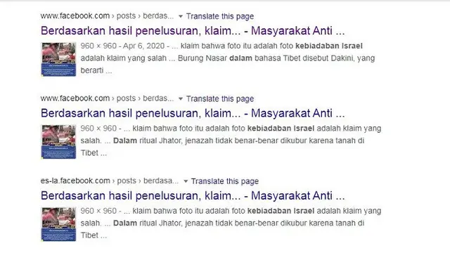Gambar Tangkapan Layar Penelusuran dengan Google Reverse Image