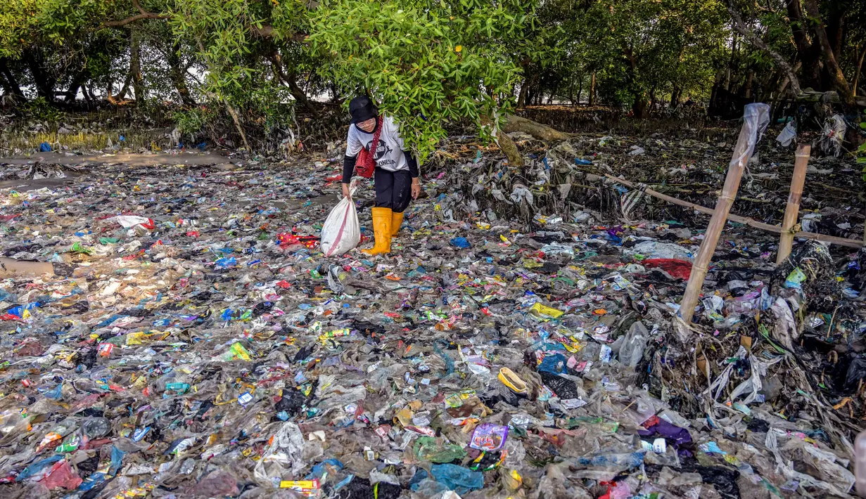 ECOTON juga mengajak masyarakat untuk berperan aktif menjaga kelestarian lingkungan, terutama ekosistem mangrove, dari ancaman sampah plastik dan kerusakan lingkungan lainnya. (Juni KRISWANTO/AFP)