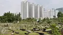 Sejumlah makam yang berada di Taman Pemakaman Umum (TPU) Karet Bivak, Jakarta, Rabu (1/3). Dinas Kehutanan akan segera memperluas TPU Karet Bivak mengingat kebutuhan lahan untuk pemakaman di DKI Jakarta saat ini sangat tinggi. (Liputan6.com/Yoppy Renato)