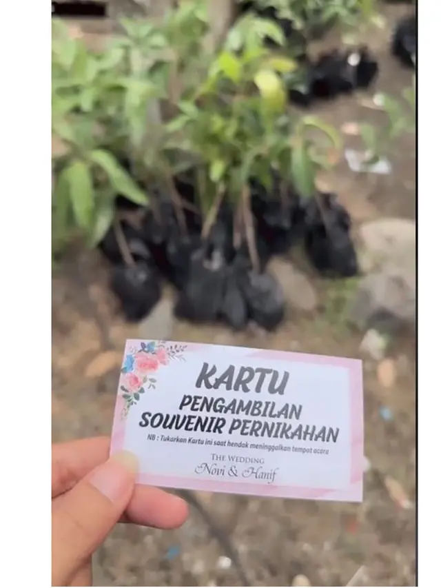Viral Pengantin Beri Bibit Tanaman Sebagai Souvenir Nikahan, Dijadikan Inspirasi