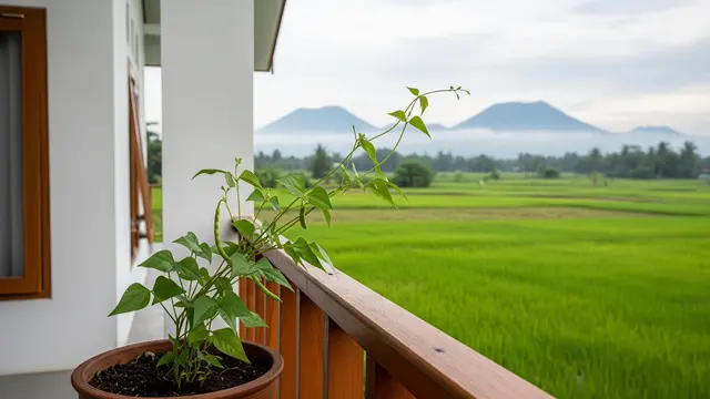 Kacang Hijau
