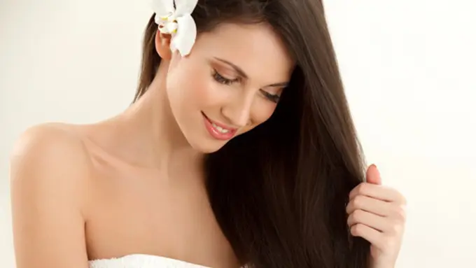 Copyright by Shutterstock.com