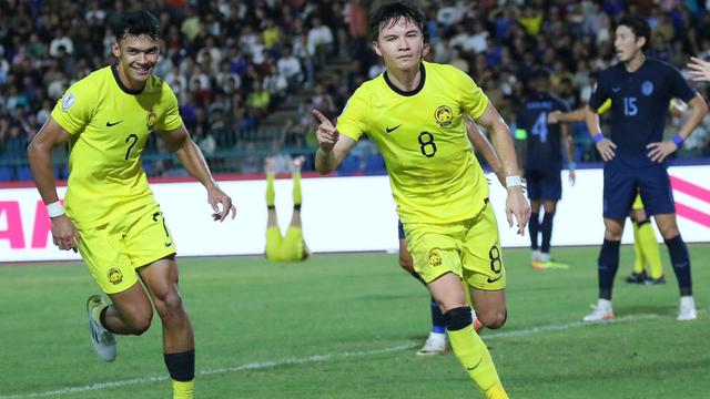 Stuart Wilkin, Timnas Malaysia