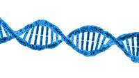 Ilustrasi DNA (sumber: Pixabay)