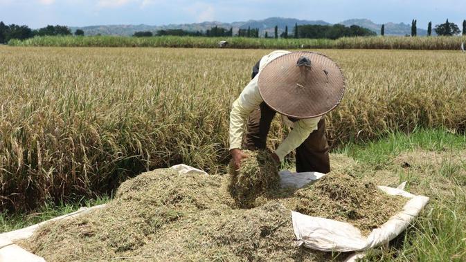 Petani Masih Sulit Dapat Akses Modal Bisnis Liputan6 Com